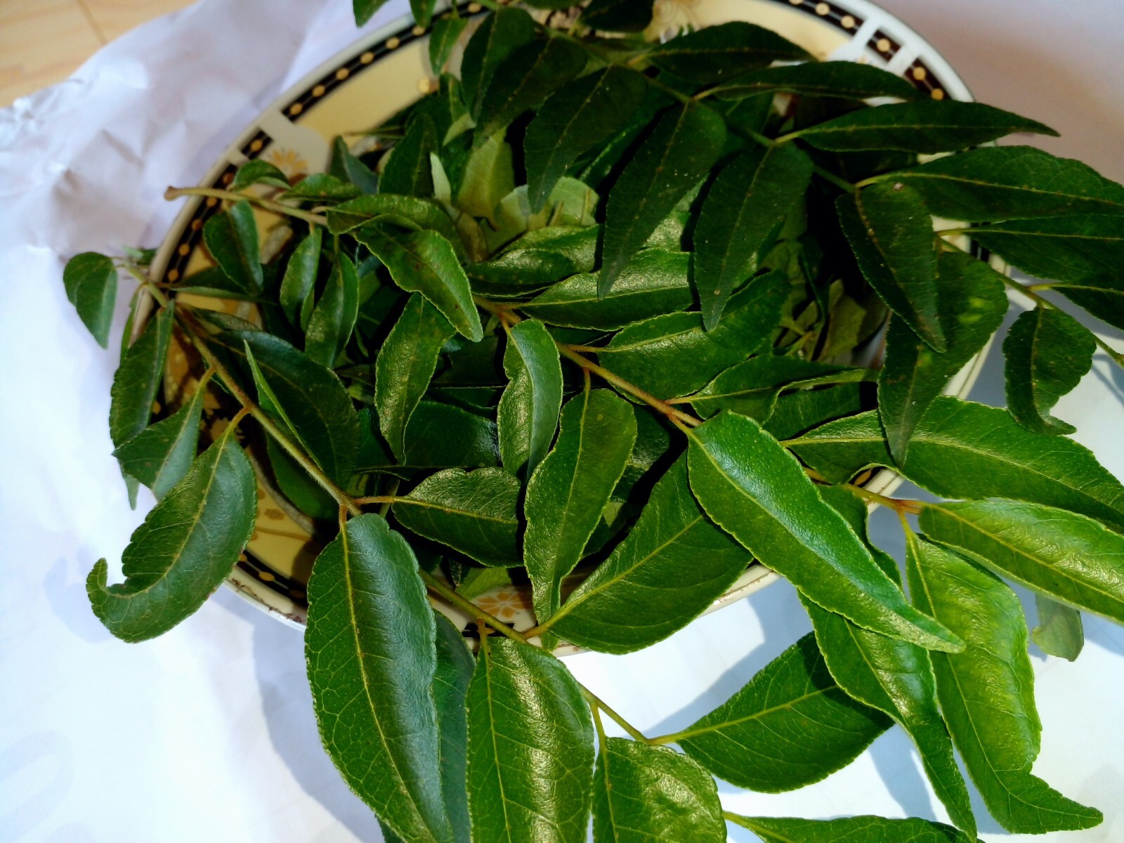 50g Natural Fresh Organic Curry Leaves Premium Quality Christmas Dinner