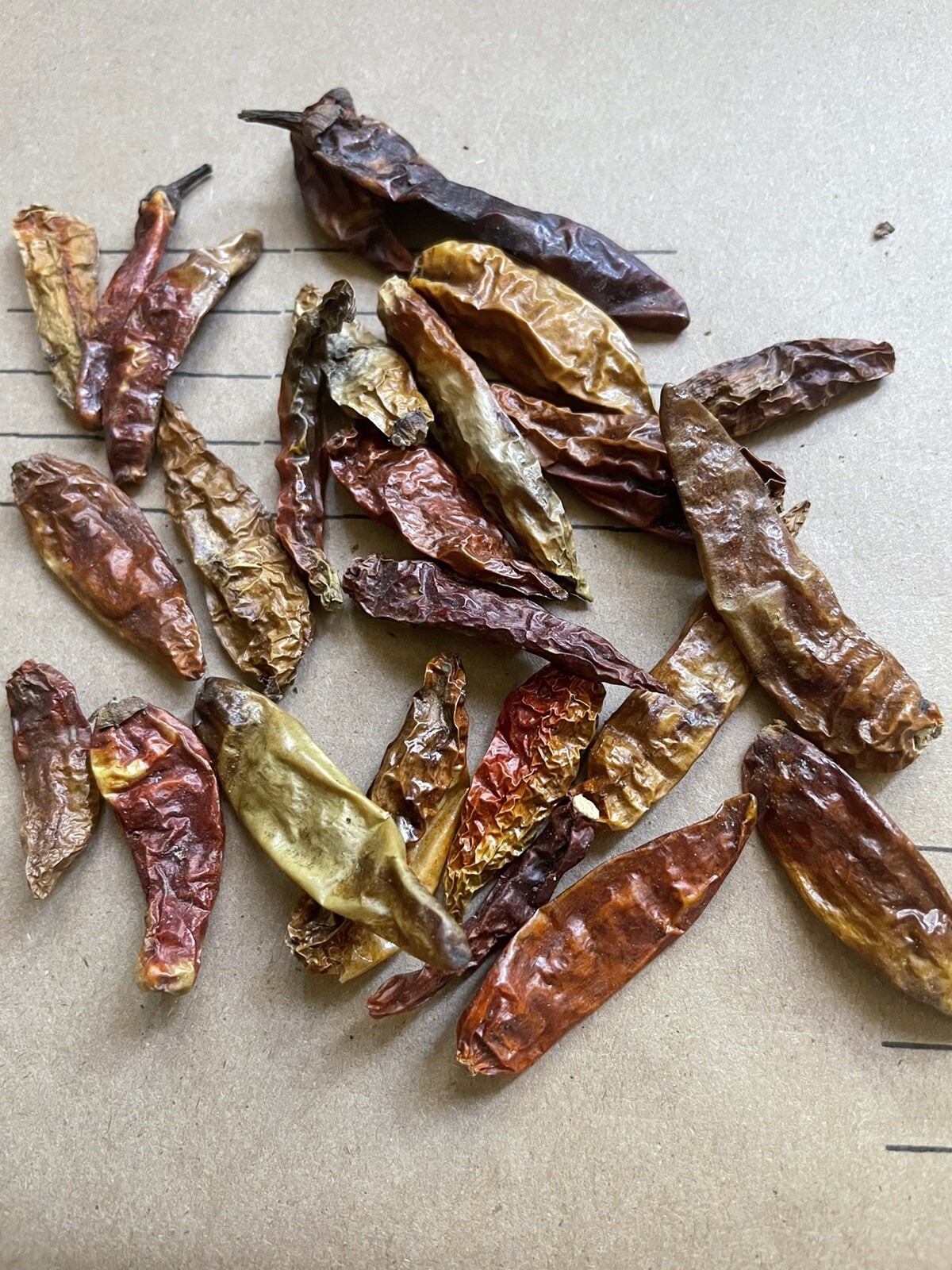 20 Dried Indonesian Cabe Rawit Cheyenne Pepper For Cooking And Planting