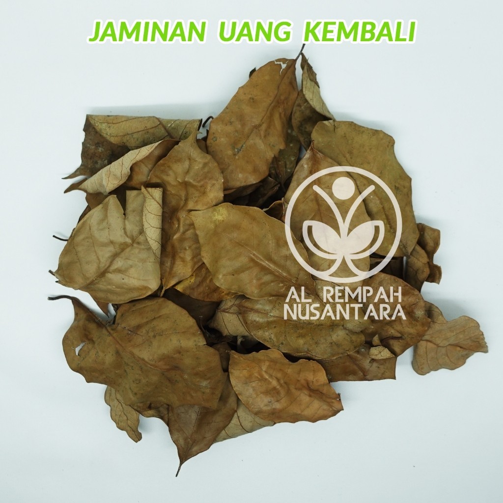 Nutmeg Whole Spice 1000g Bold Aroma Global Flavor Culinary Spice Pantry Staple