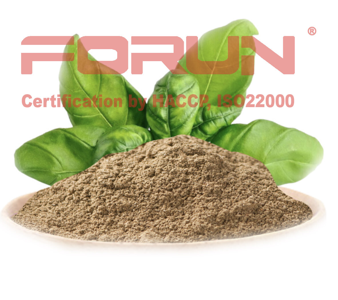 FORUN Premium Basil leaf Powder-Pure, Strong Flavour