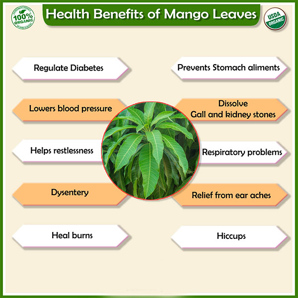 Mango Dried Organic Powder Pure Natural Leaves Herbal Tea Ceylon