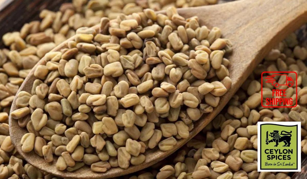 100% Natural Organic Best Quality Pure Ceylon Fenugreek free shipping