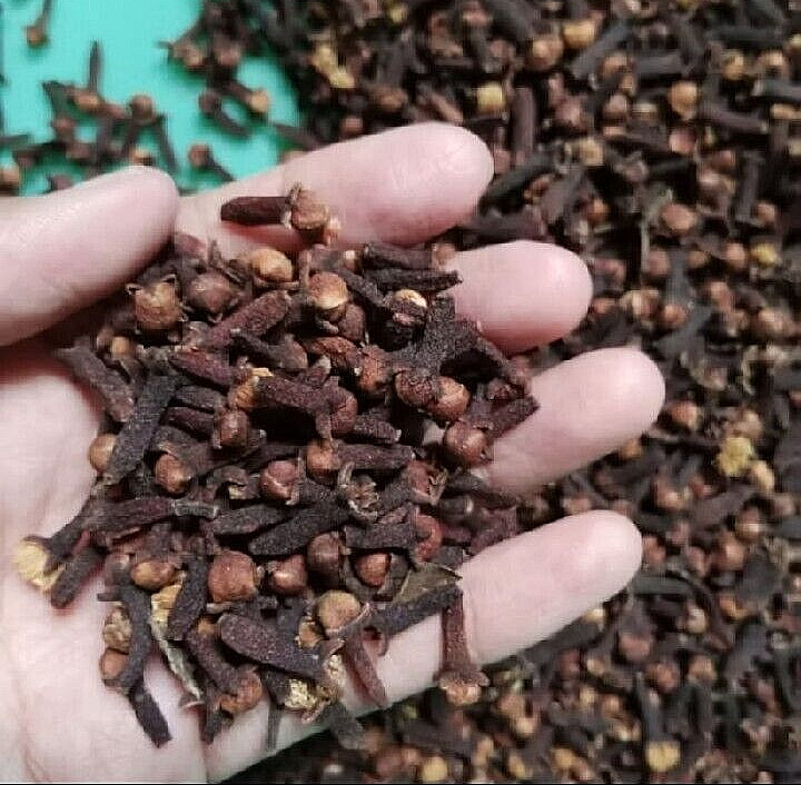 Premium organic dried cloves from the Indonesian highlands (1 package 500 grams)