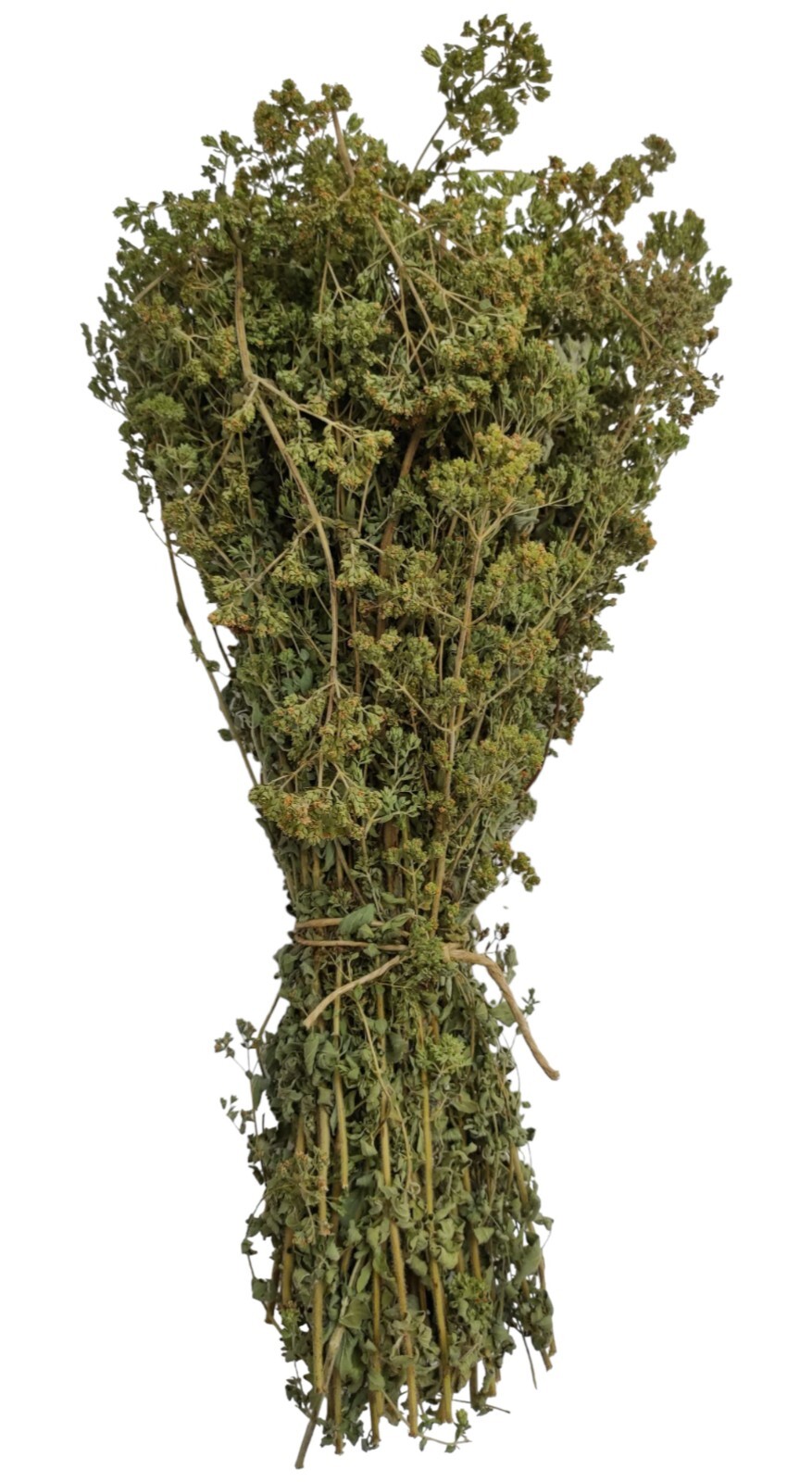 Certified Organic Greek Dried Mountain Oregano Bunch 460g – Origanum vulgare