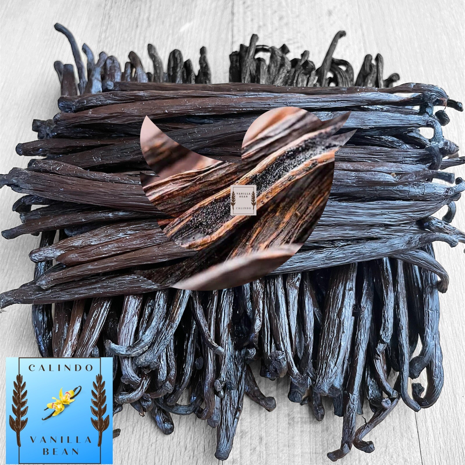 10 Madagascar Bourbon Vanilla Beans Grade B | 6 inches | Vanilla Extract