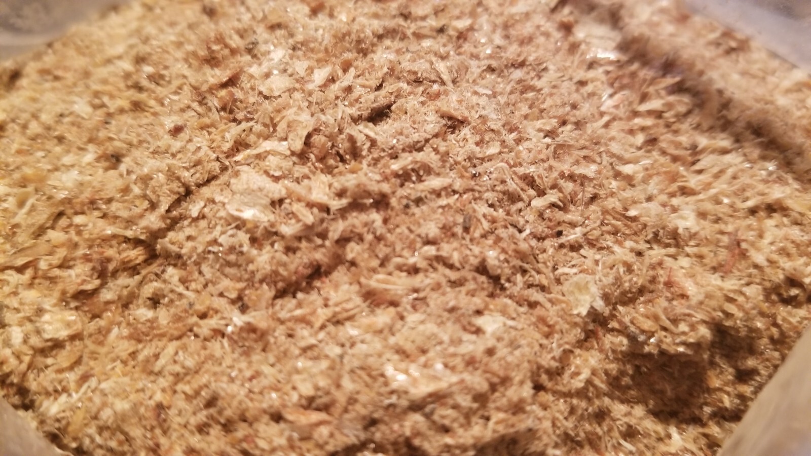 Premium Quality Crayfish. Dried, Ground. 4 Cups(12 oz) Sandless Crayfish