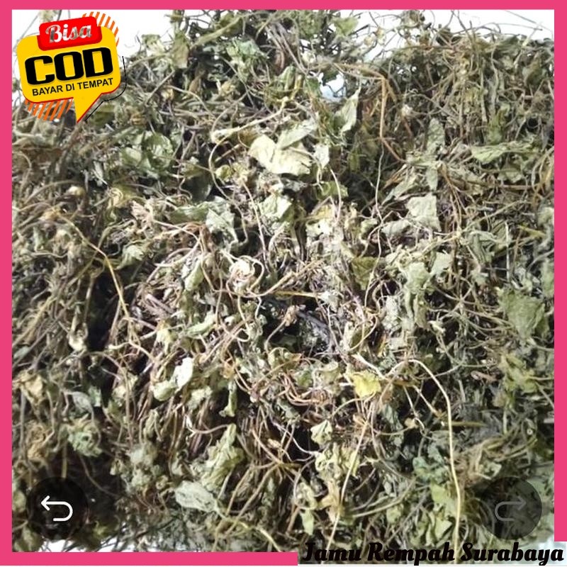 Gotu Kola Leaves (Pegagan) Dried 100g Culinary Heritage Artisan Quality Legacy