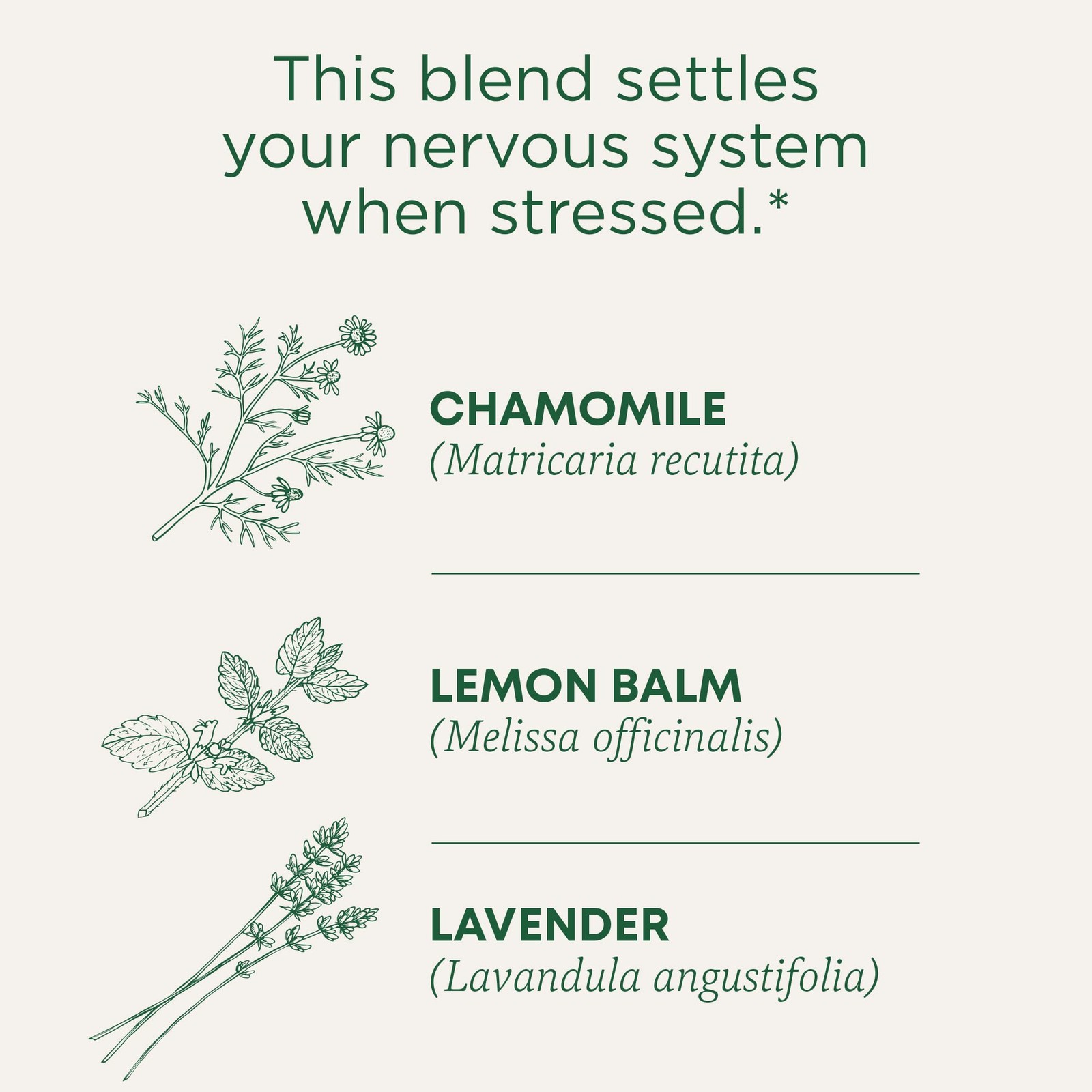 Traditional Medicinals Tea, Organic Chamomile & Lavender, 48 Count, No Color