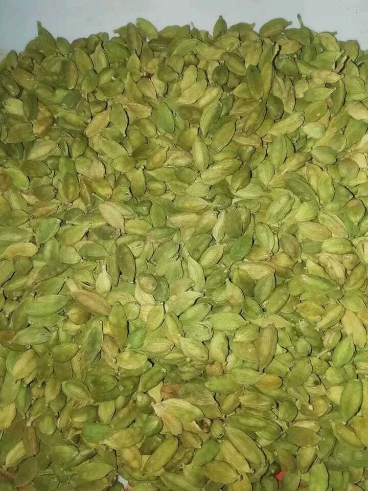 Cardamom Pods|Seeds-Choti Elaichi-Green Cardamom|20g+Free Shipping