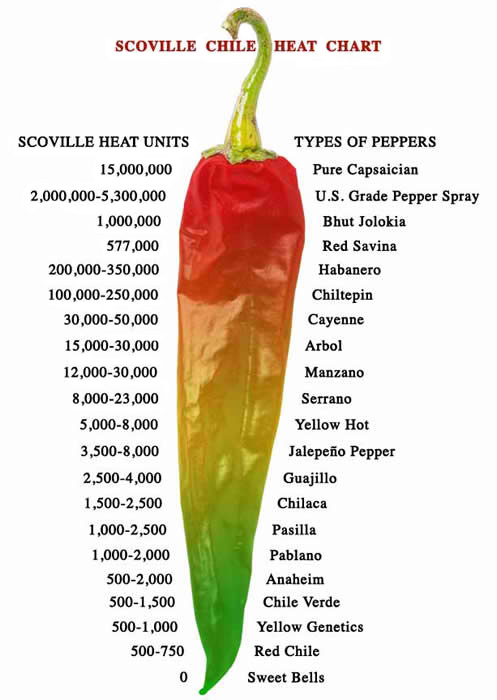 1 oz. Pure Habanero Powder and XXX-Hot! Orgaically grown and cultivated
