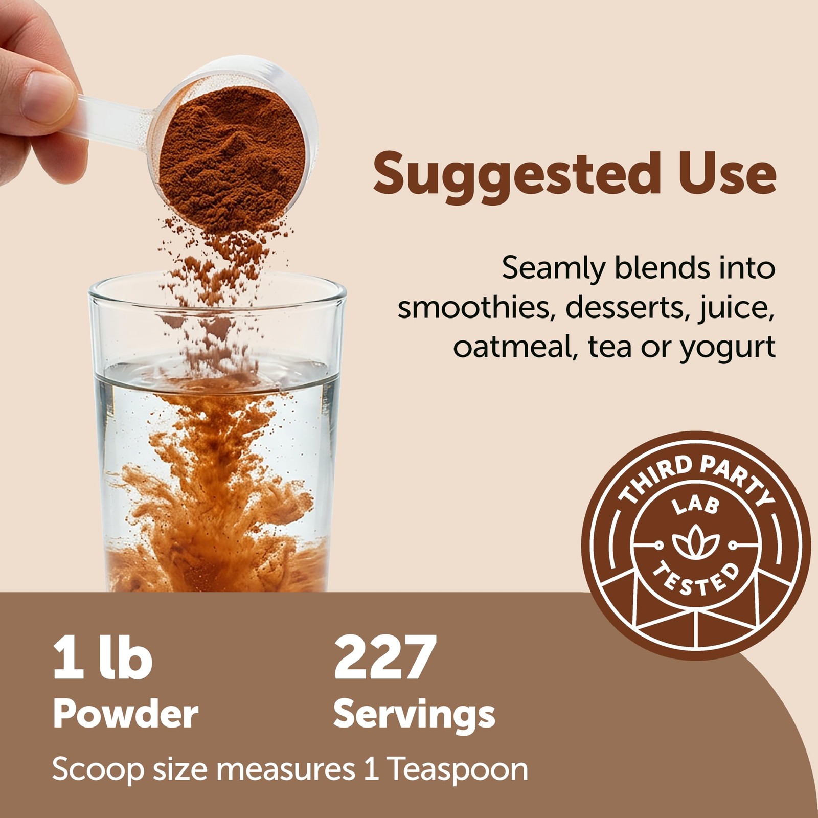 Micro Ingredients Organic Ceylon Cinnamon Powder, 1 lb | 1 Pound (Pack of 1)
