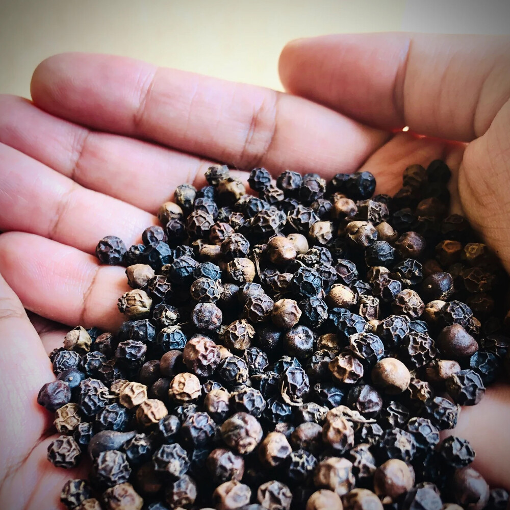 Indian Spices Masale Black Pepper Kaali Mirch Pure Organic 10-1000 gm F/S