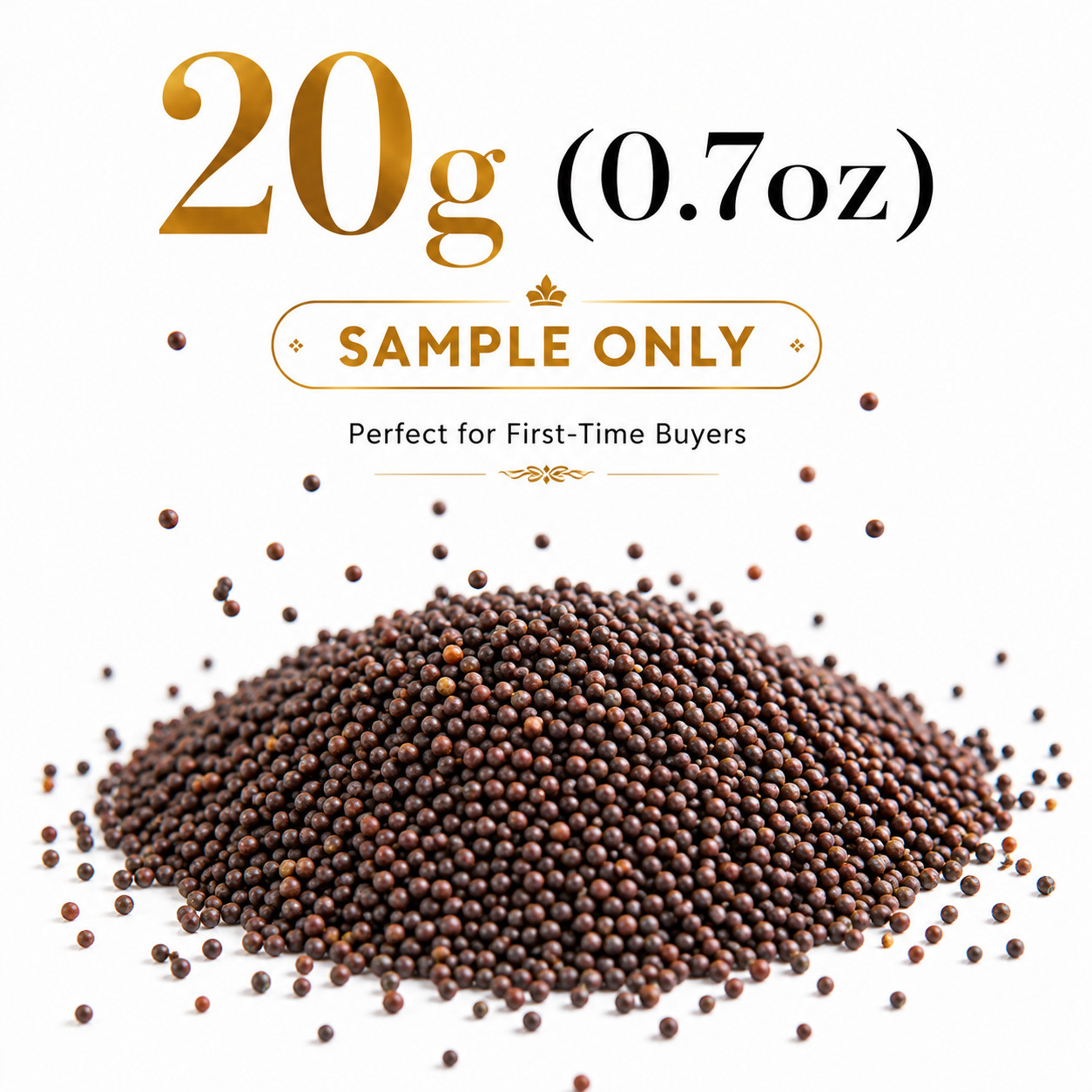 Premium Ceylon Mustard Seeds Whole Natural Spice Sri Lanka 20g-500g Bulk