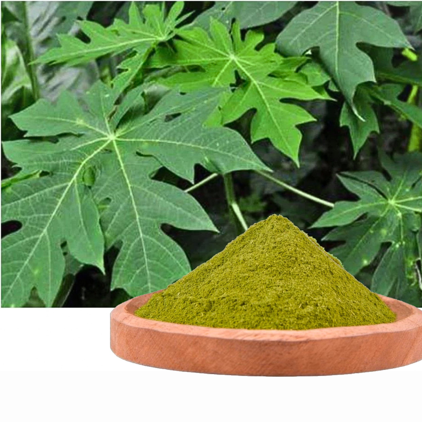 Papaya Leaf Powder Organic Natural Fresh | Pure Herbal Supplement Detox Support