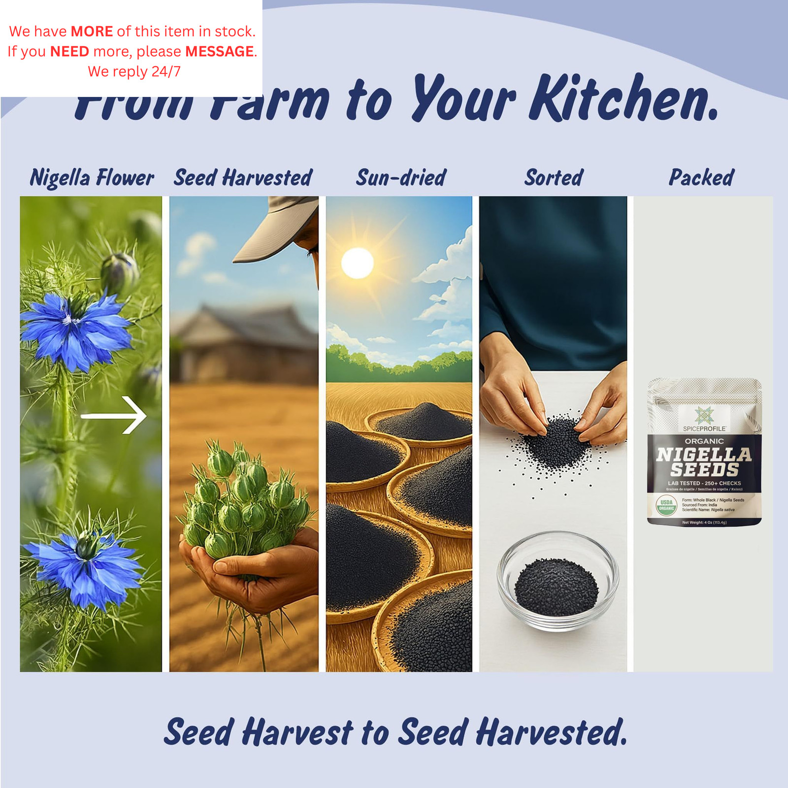USDA Organic Nigella Seeds, Lab Tested for Heavy Metals, Small