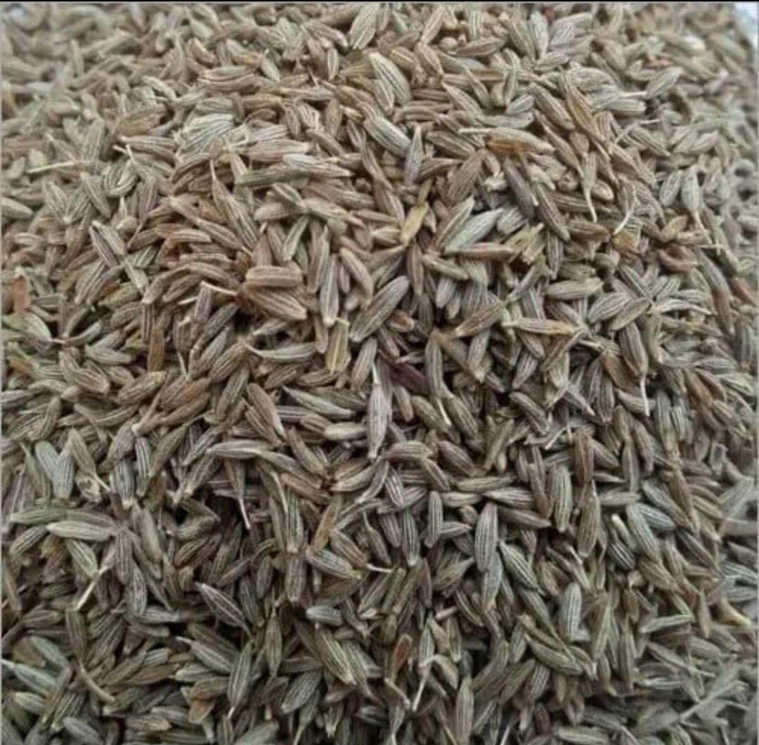 Shahi Jeera – Jeera Kala Asli – Green Cumin