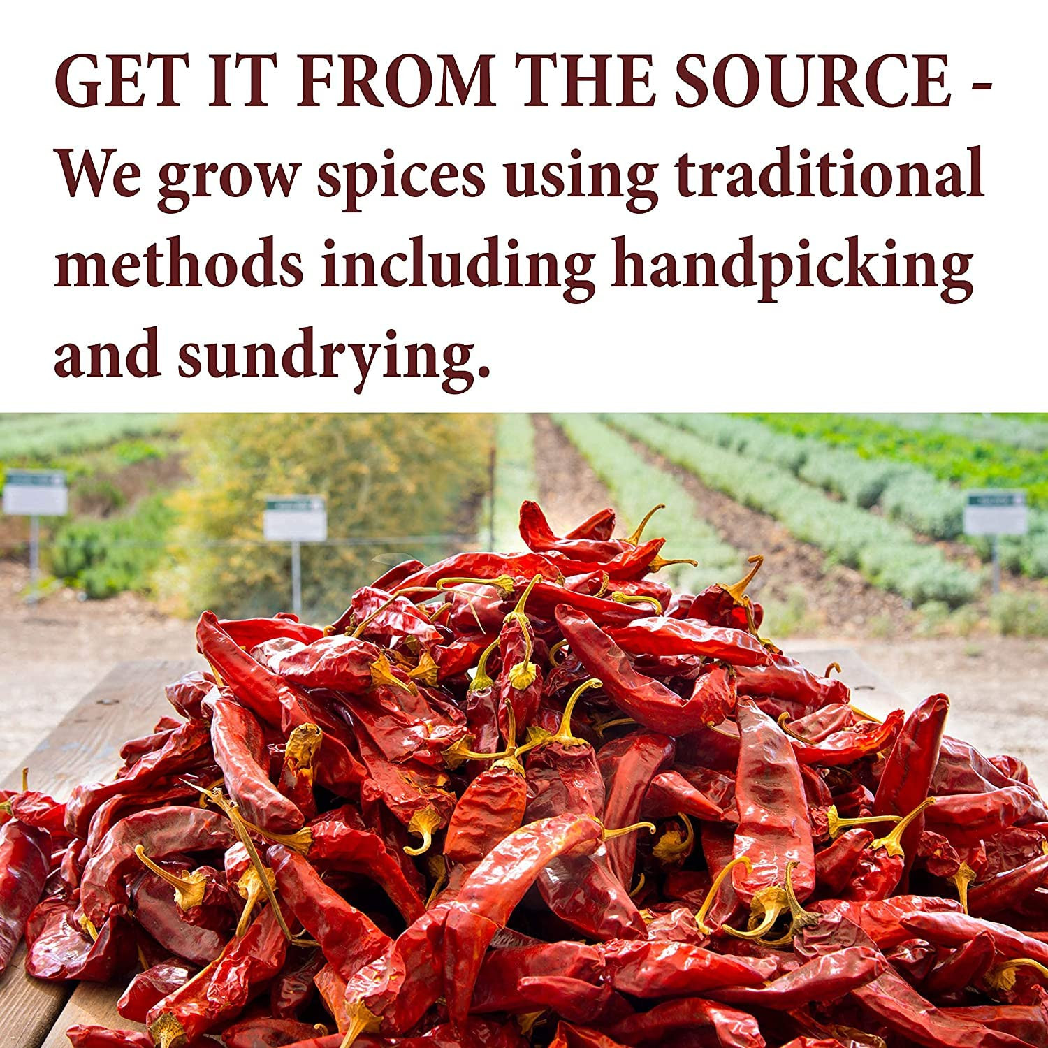 The Spice Way Gochugaru Korean Red Pepper Flakes – 8 Oz – Premium Quality Red Pe