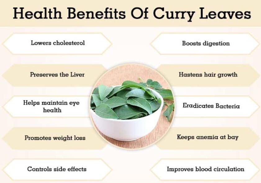 Ceylon Dried Organic Fresh Curry Leaves 100% Natural Product 100g Free Shipping