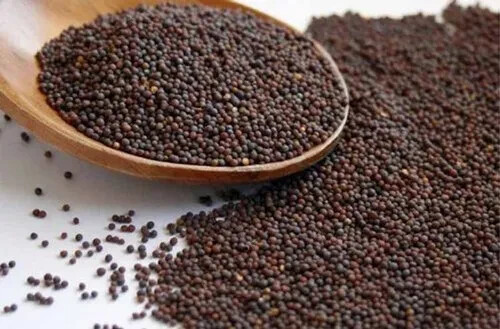 100g Black/Brown Mustard Seeds 100% Organic pure natural Spices From SriLanka