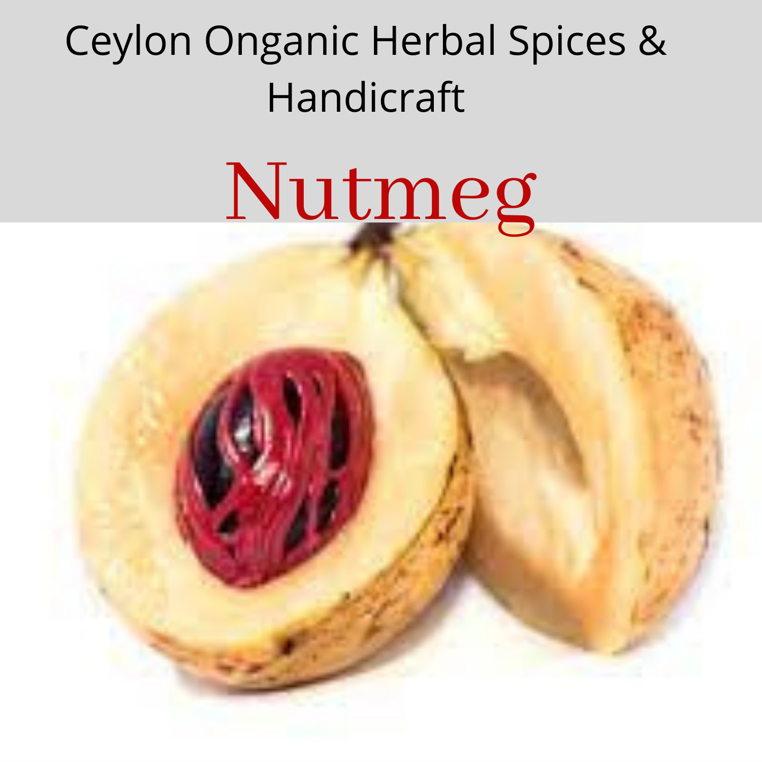 Ceylon 100% pure high quality organic Dried Nutmeg