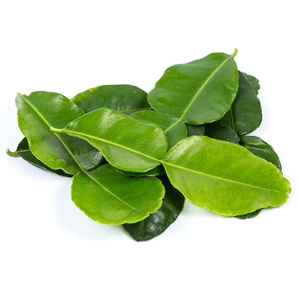 Organic Fresh Kaffir Lime Leaves ( Thai Lime Leaves) 1 Oz.