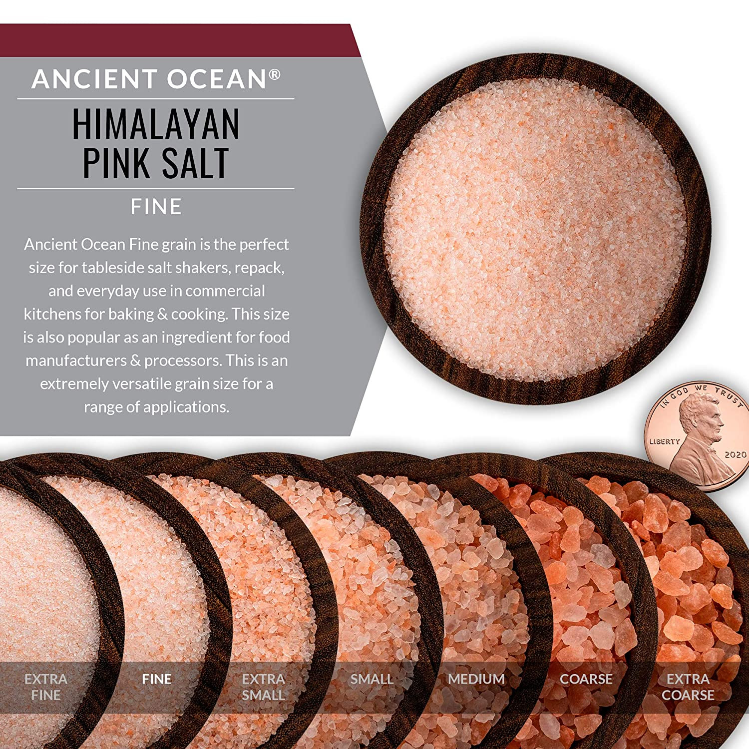 Artisan Salt Company Ancient Ocean Himalayan Pink Salt, Fine Grain, Pour Spout P