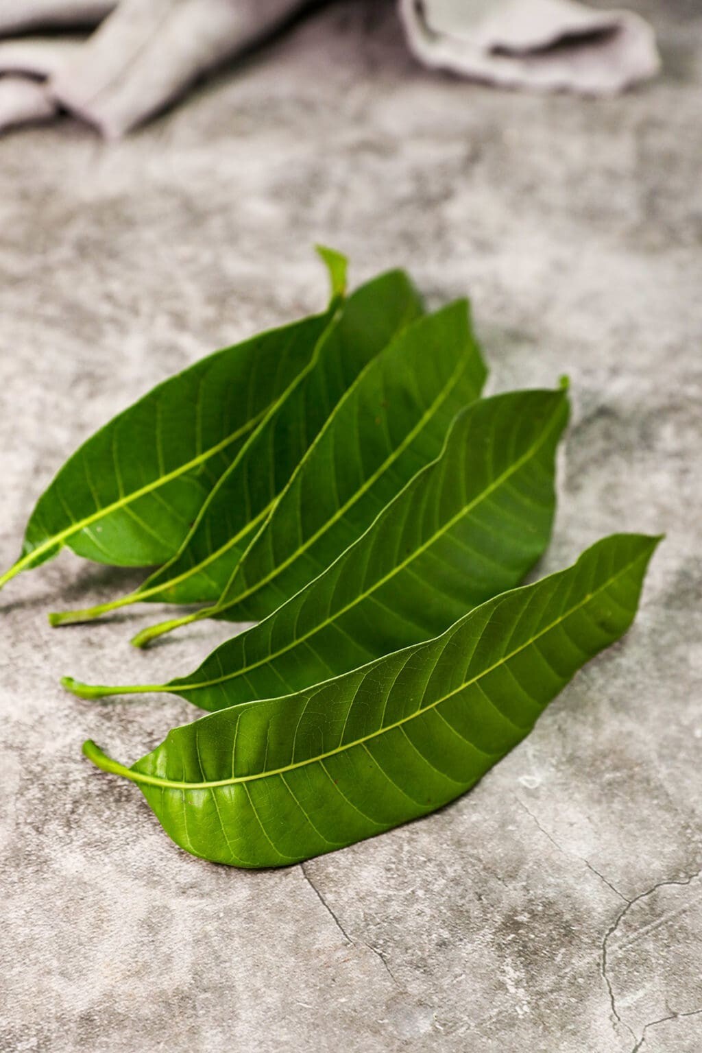 100 Dried Mango Leaves Quality 100% ORGANIC Herbal Natural Fresh Mango Leaf