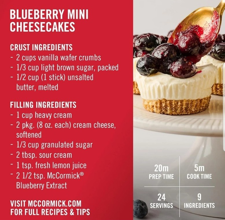 McCormick Blueberry Extract 1 fl oz New NIB Fast Shipping Baking Cooking