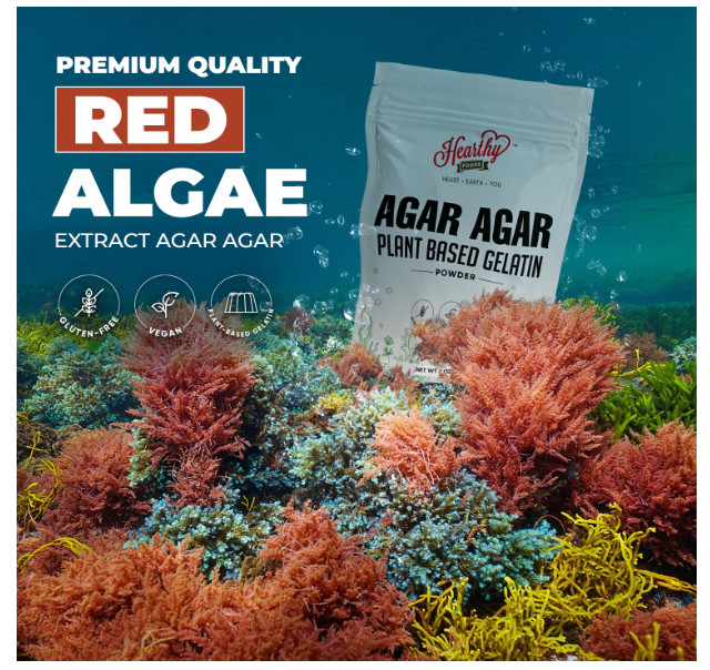 Hearthy Foods Agar Agar Powder (4oz) Vegan Gelatin Substitute, Certified Halal,