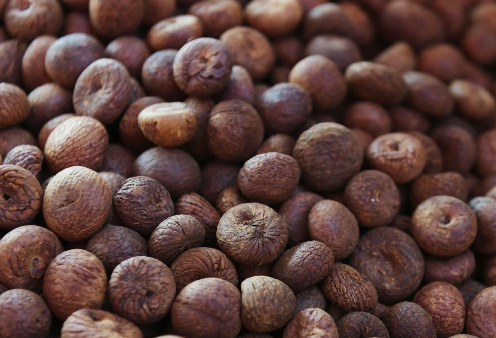 Indian Premium Whole Nutmeg, Jaifal, Untreated FREE SHIP