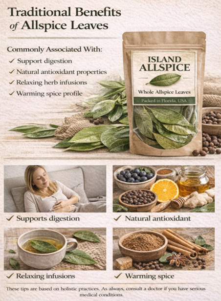 Allspice Leaves Organic 100g Whole Pimento Leaves Bay Leaf Alternative Florida