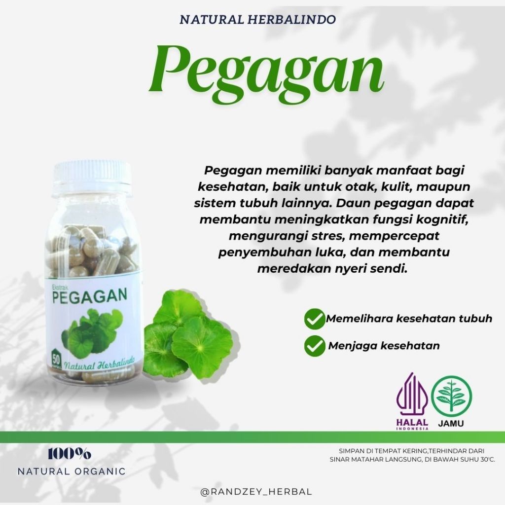 Pegagan (Centella) Herbal Capsules 50pcs Indonesia Natural