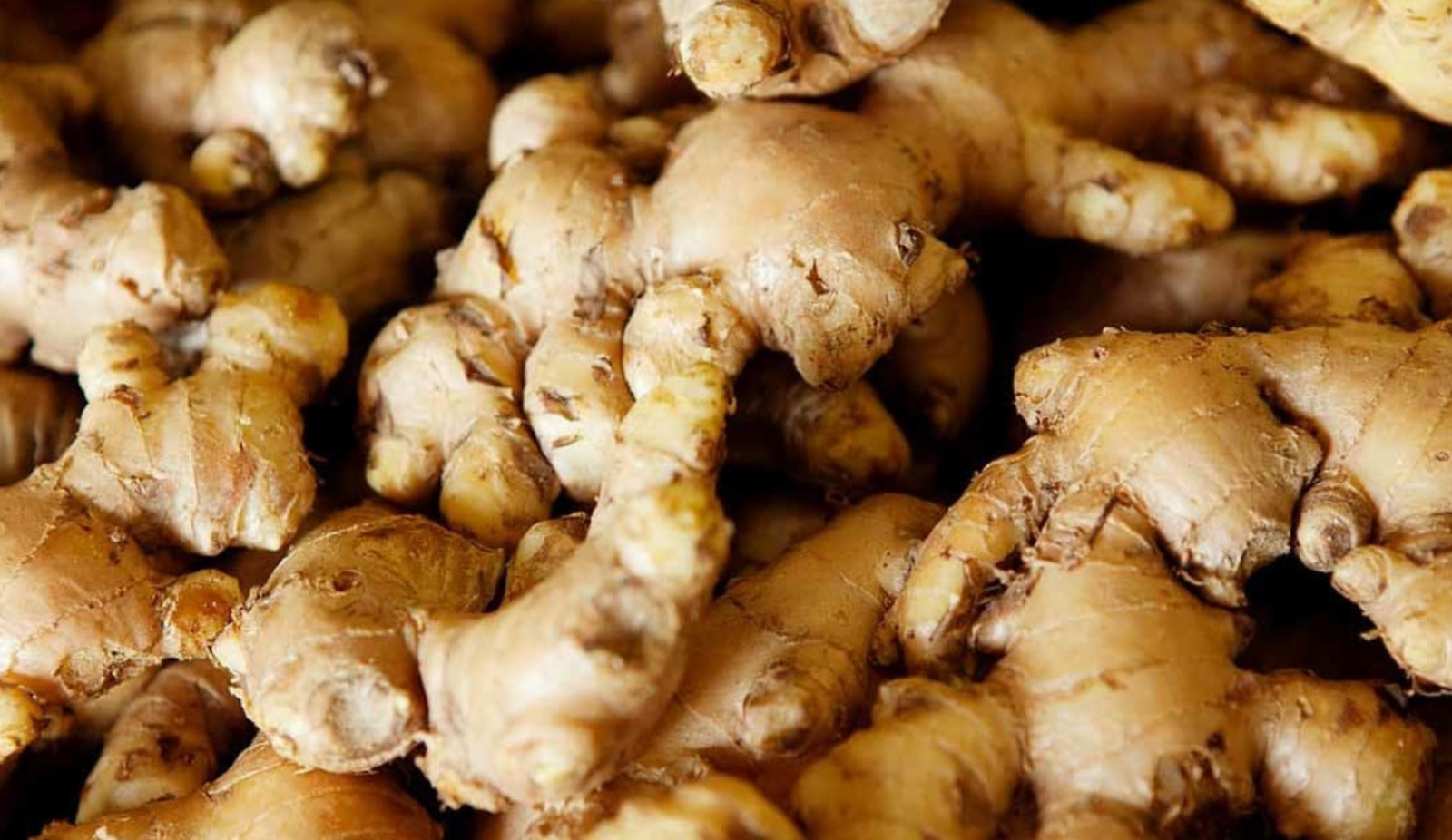 0.5- 3.5 Ibs – Fresh Ginger Root Organic USDA Certified