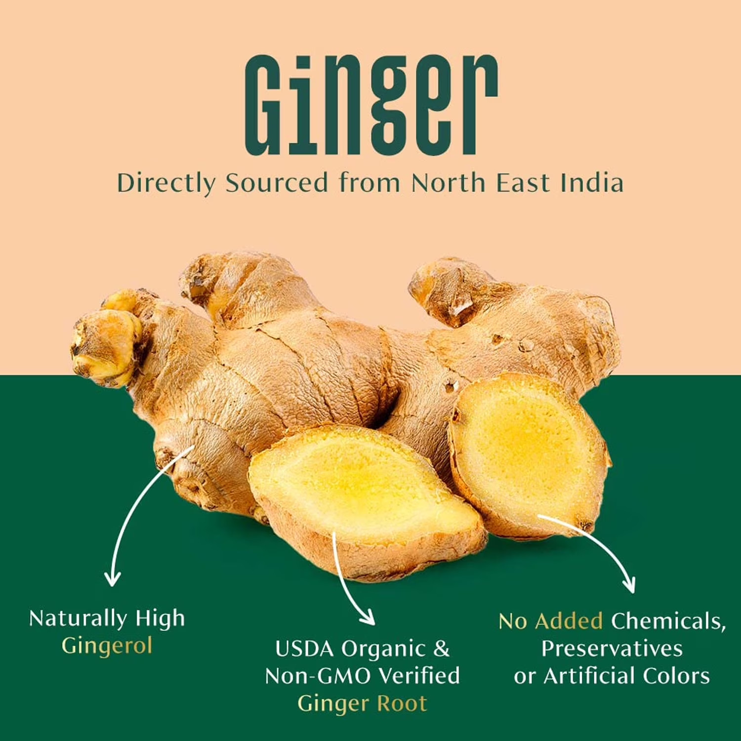 VAHDAM Organic Ginger Powder Spice, 2.47 oz | USDA Organic Ground Ginger Root…