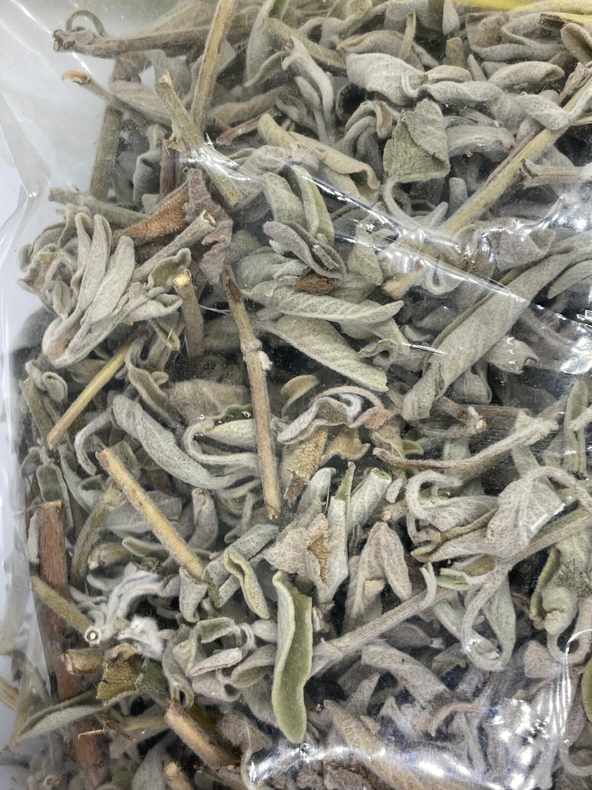 Dried Sage Leaves Organic Energizing, healthy delicious and fresh 2025 Palestine