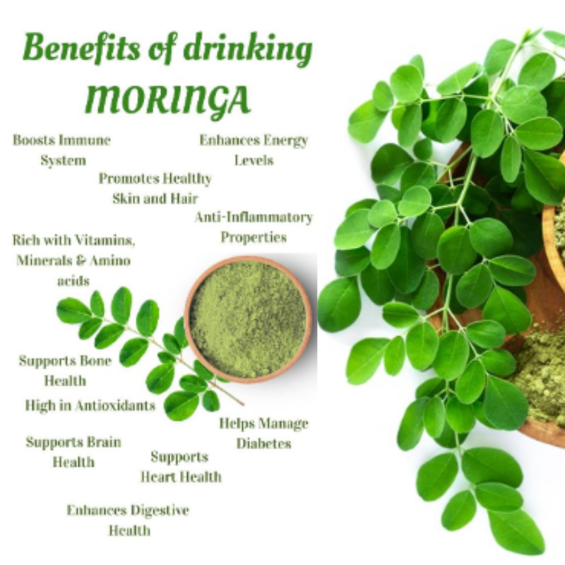 Ceylon Moringa Powder 100g – Pure, Natural, Premium Quality for Health Boost