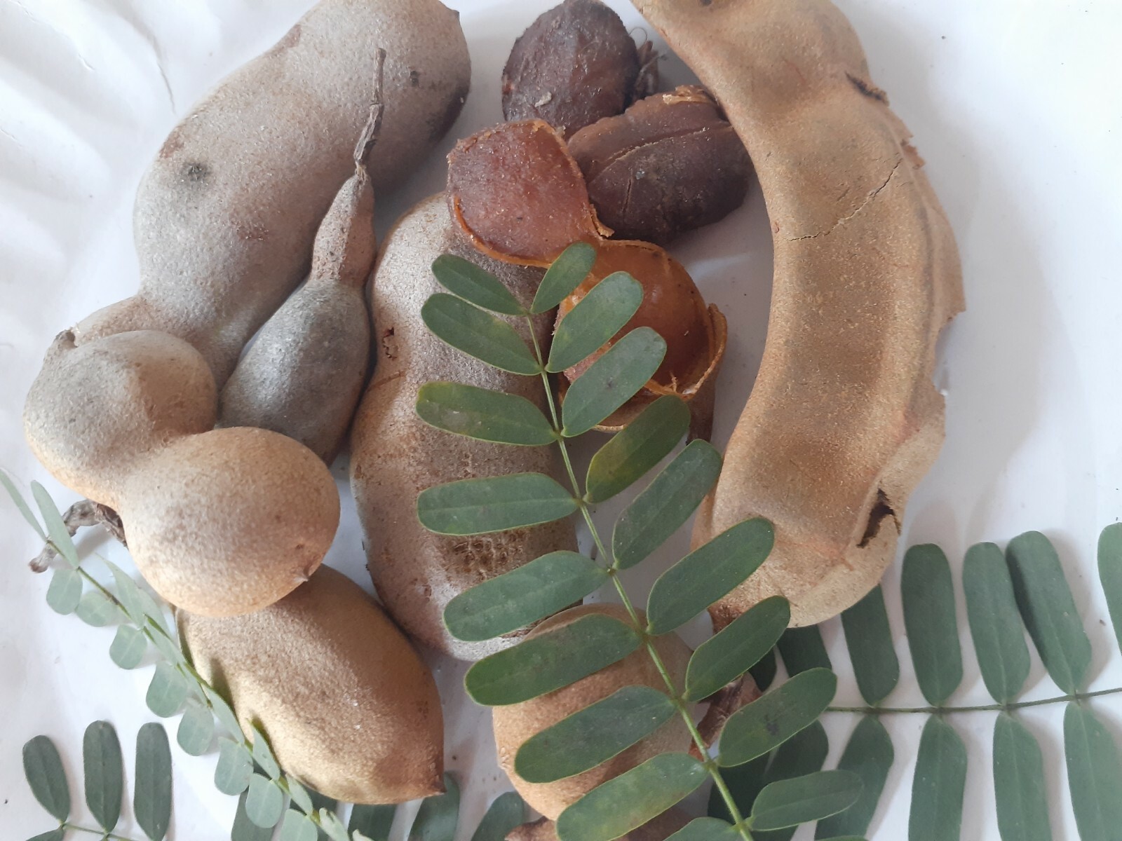 100% Natural Ceylon Dried Seedless Tamarind 50g Healthy Sun Dried
