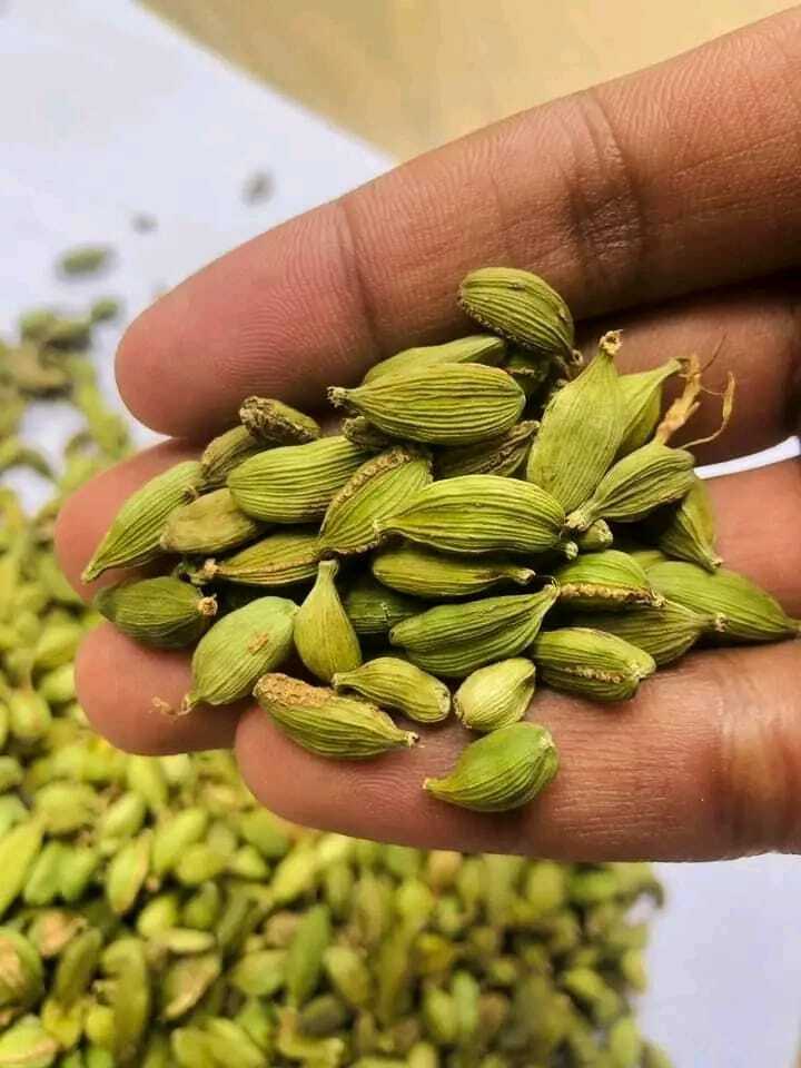 Cardamom Pods|Seeds-Choti Elaichi-Green Cardamom|20g+Free Shipping