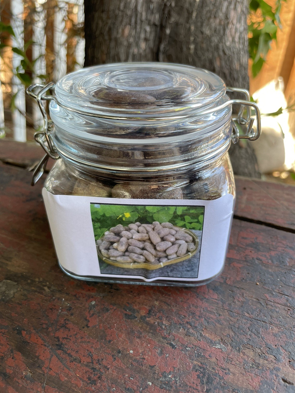 50 Spice Whole Oval Nutmegs In Shell Banda Island Indonesia