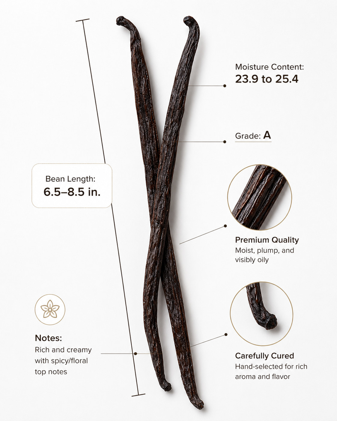 2x Premium Whole Grade A Vanilla Beans Zanzibar Tanzania – Zanzanilla (.25oz) 6g