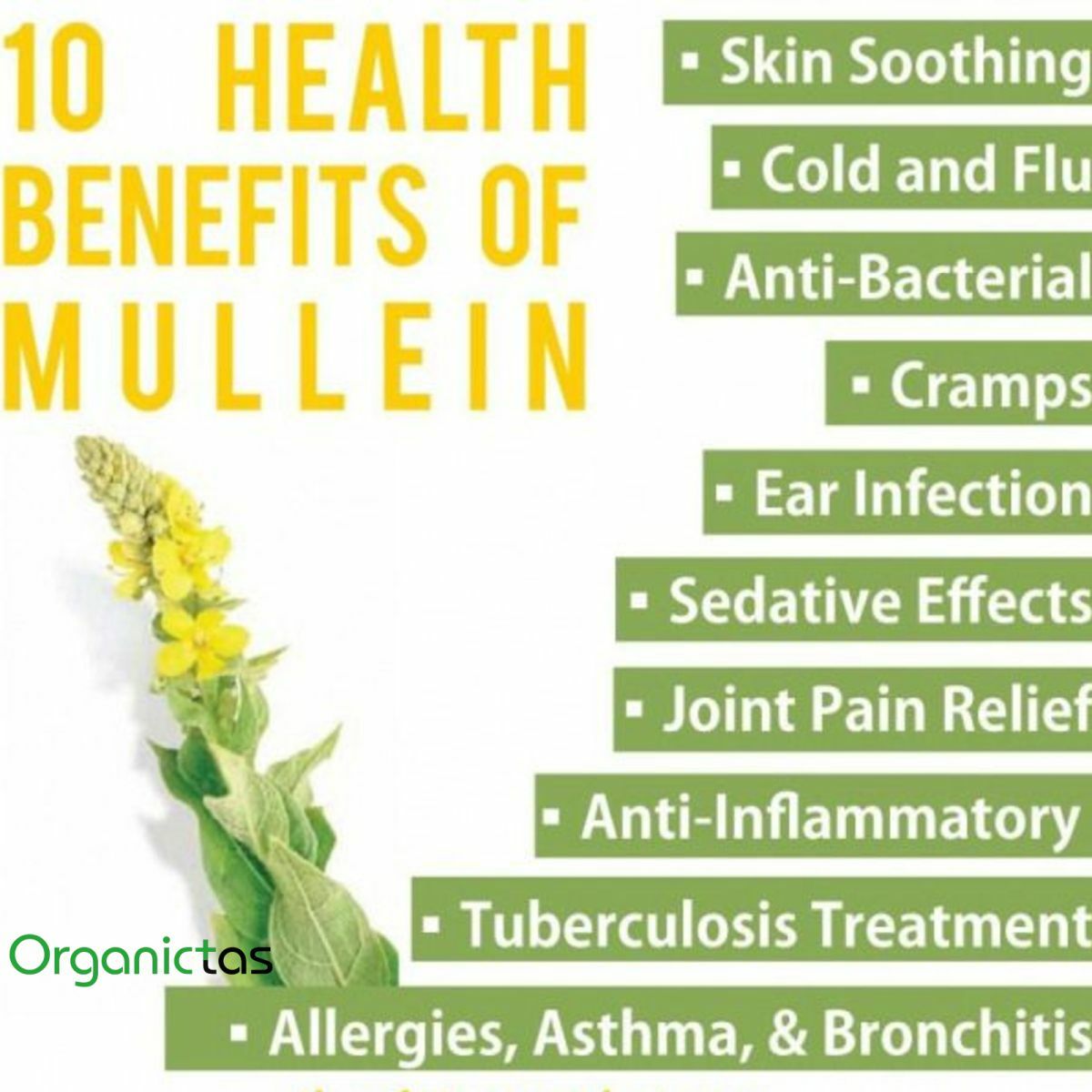 Mullein Leaf & Flower Tea Loose Organic Herb Premium Quality Herbal 25 g – 200 g