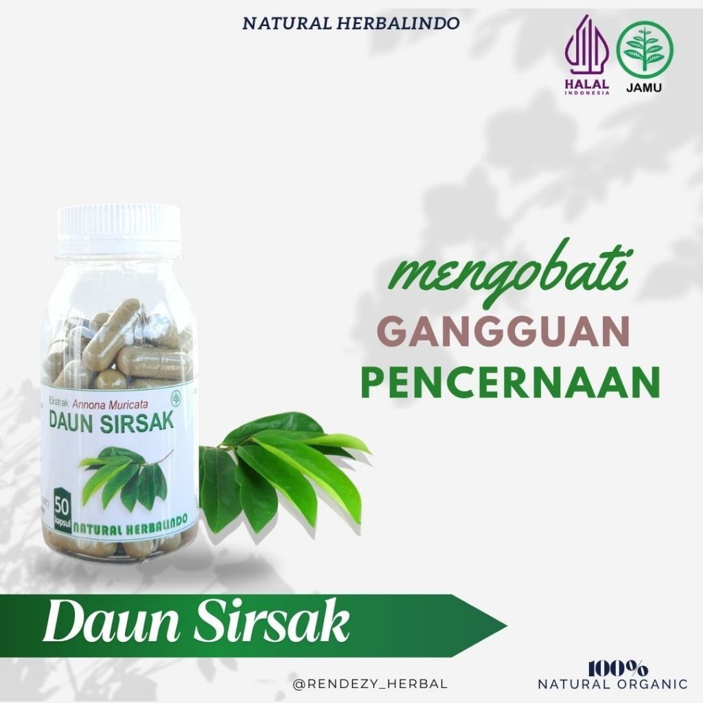 Soursop Leaf (Daun Sirsak) Capsules 50pcs Indonesia Natural