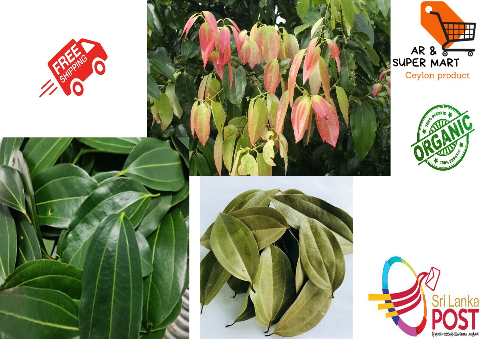 Dried Ceylon Organic Natural Cinnamon Leaves 100% Best Quality Herbal Leaf