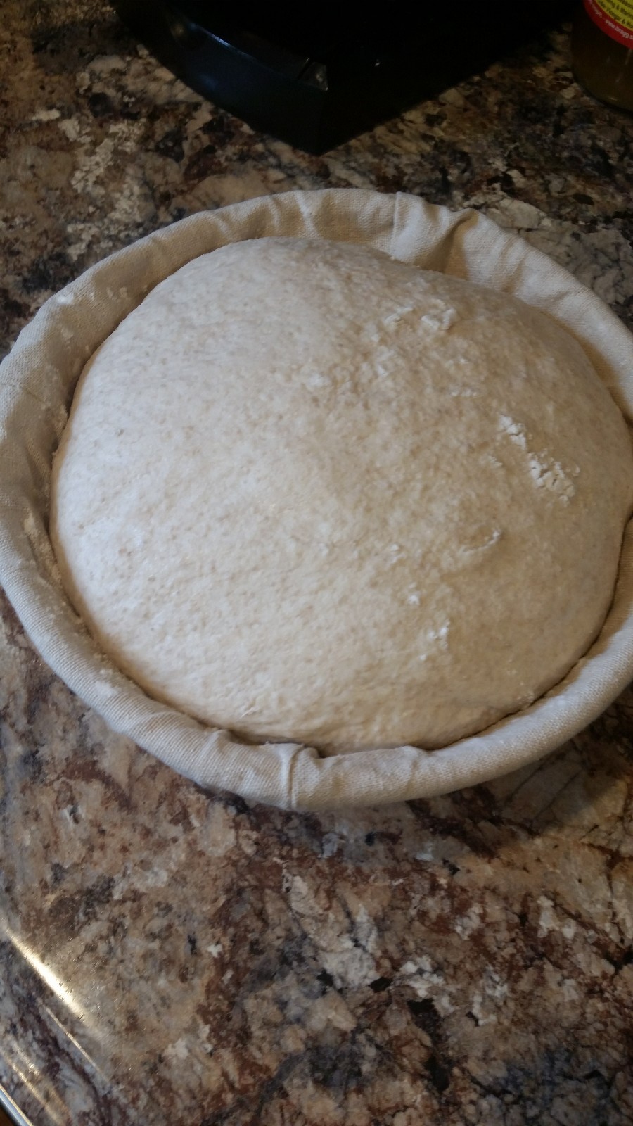 San Francisco Sourdough Bread Starter Priobiotic Yeast Dehydrated