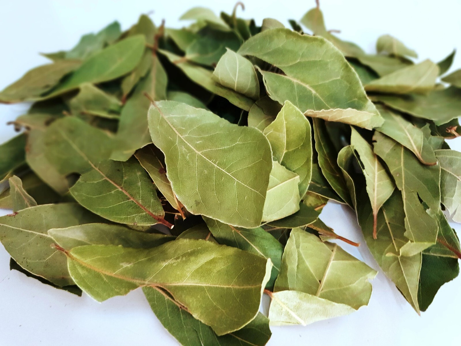 Whole Bay Leaves, Dried Bay Leaf, Hoja de Laurel 2 oz, 8 oz, 1 lb
