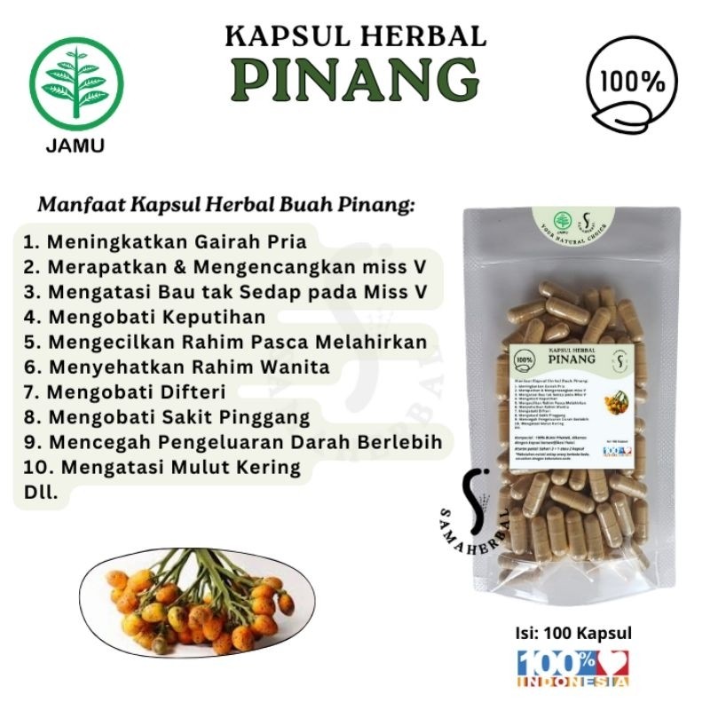 Areca Nut Herbal Capsules 100 Count Natural Natural Organic Pure Herbal Wellness