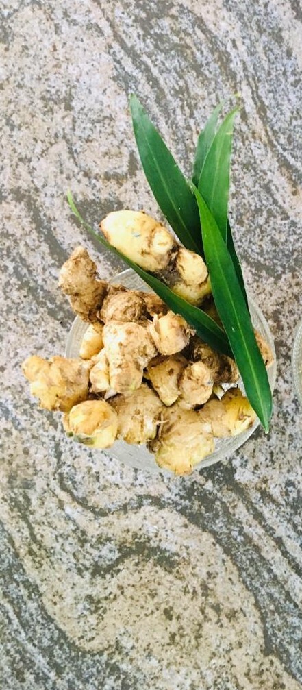 Organic Dried Ginger Root Slices Pure Natural Beverage Premium Quality New