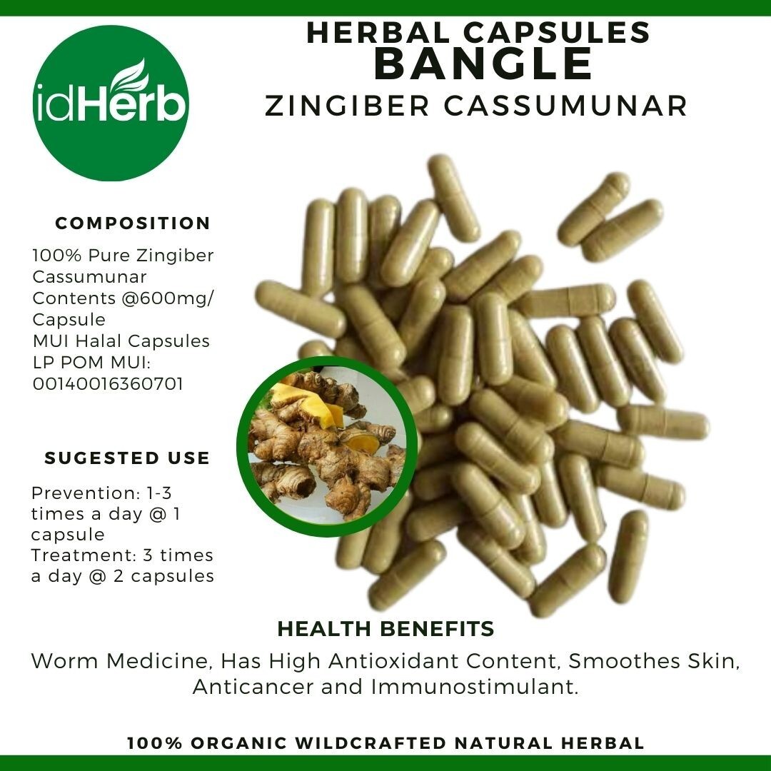 Capsules Zingiber Cassmunar Bangle Natural herbal Organic 100% Herbs