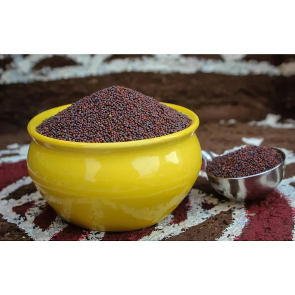 100g Black/Brown Mustard Seeds 100% Organic pure natural Spices From SriLanka