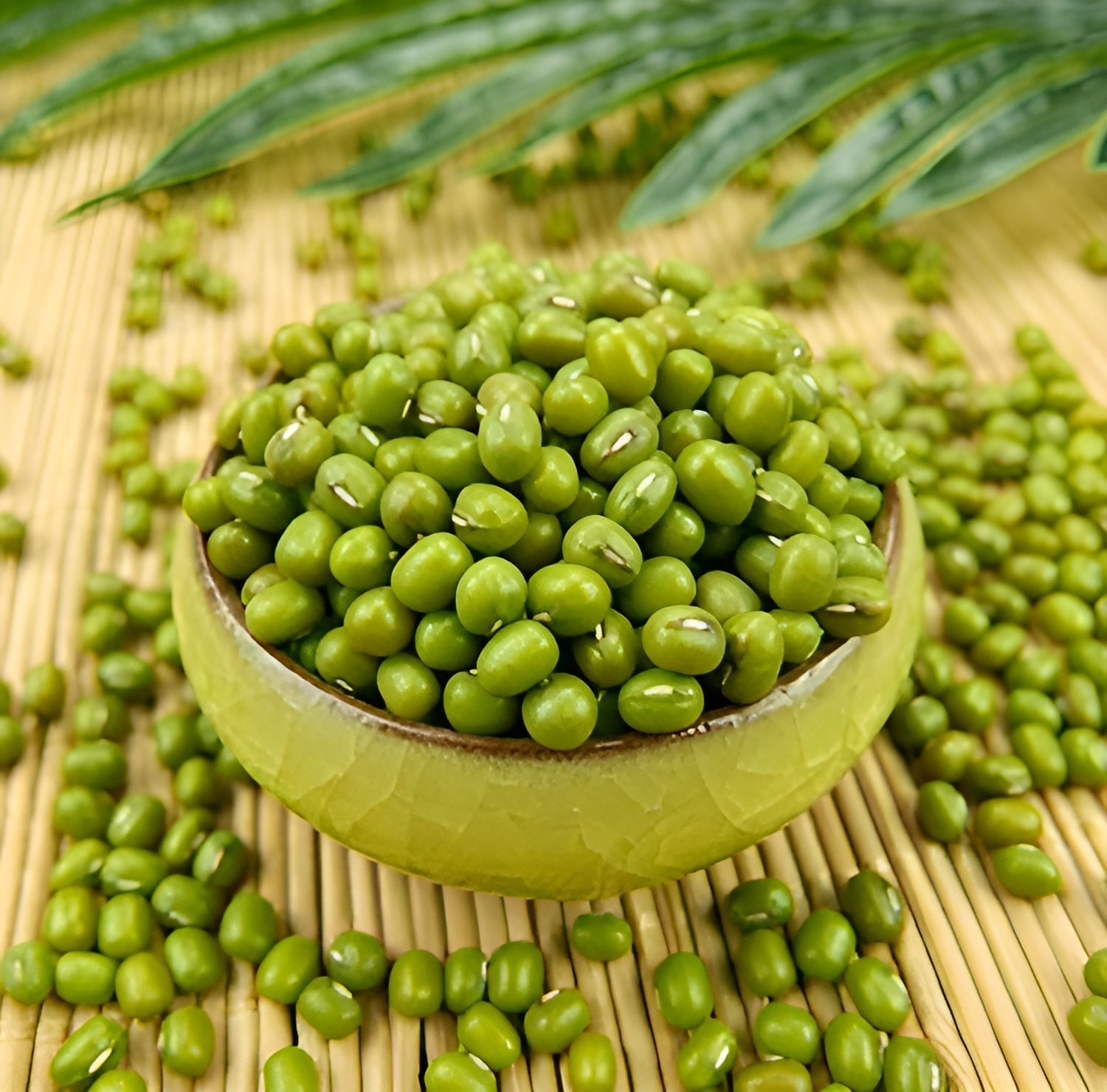 Whole Mung Beans Green Gram Natural Fresh Premium Whole Beans